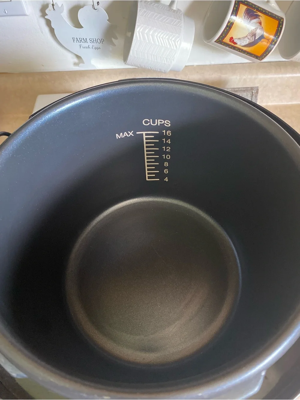 Cuisinart CPC-600 6 Quart Electric Pressure Cooker 1000 Watt Stainless Steel